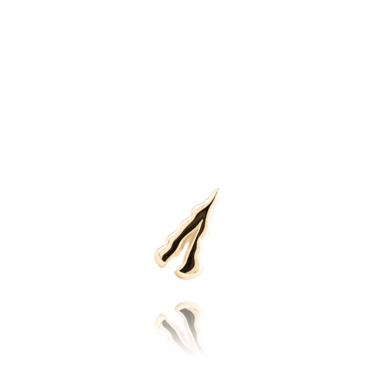 FERNLICIA
