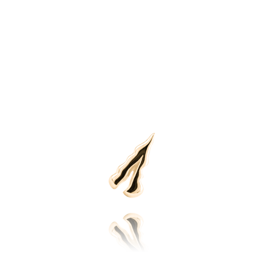 FERNLICIA