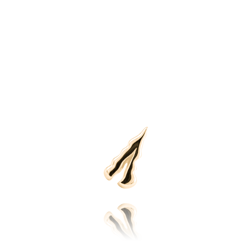 FERNLICIA